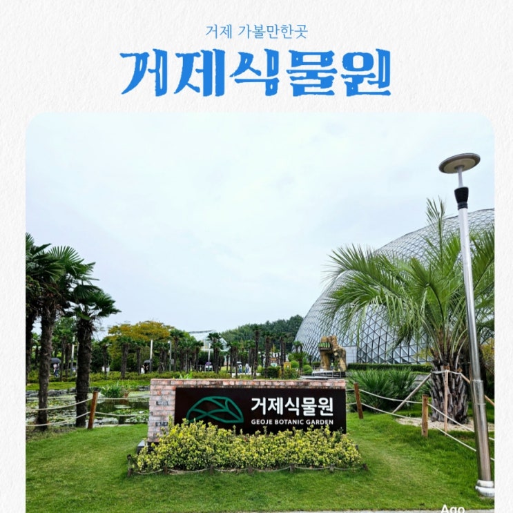  거제도 가볼만한곳 거제식물원 feat 가성비 여행지
