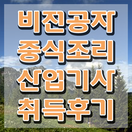  중식조리산업기사 합격 중식조리산업기사 자격요건 온라인 과정으로 쉽고 빠르게 성공한 노하우