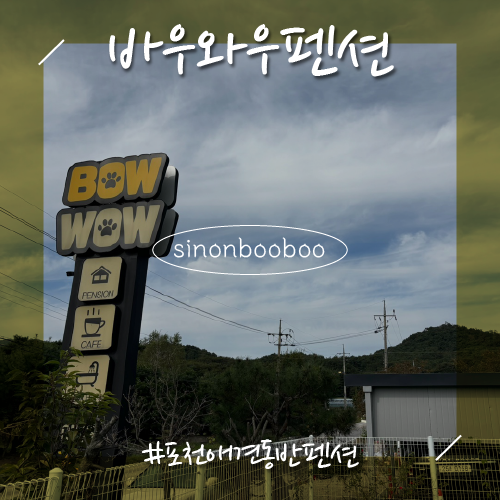 사진 6