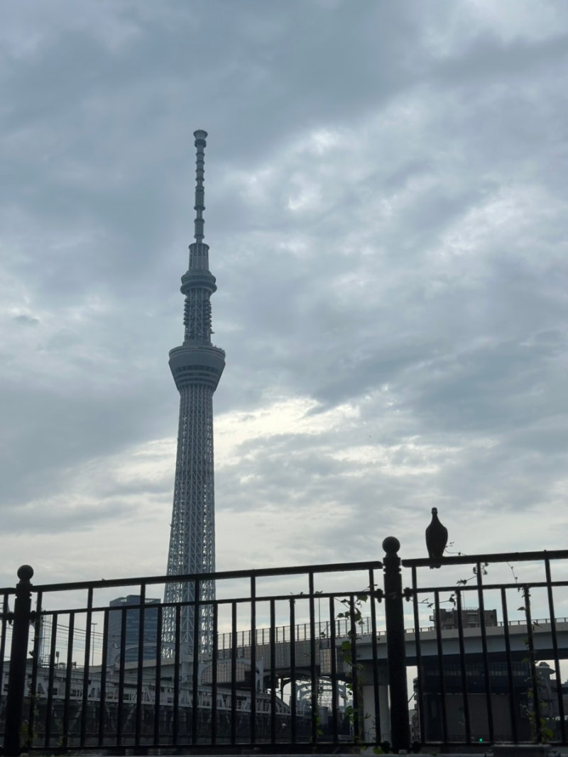 여행] <1일차> (2024.09.19~09.25) 6박7일 도쿄~시즈오카 나홀로 여행 : 네이버 블로그