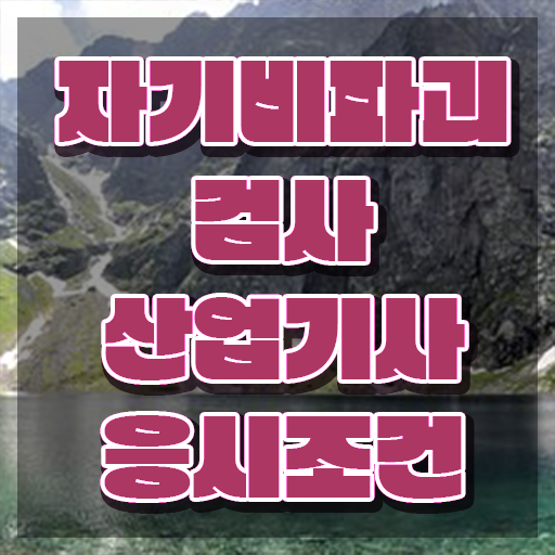  자기비파괴검사산업기사 자기비파괴검사산업기사 시험자격 온라인 과정으로 쉽고 빠르게 끝낸 팁