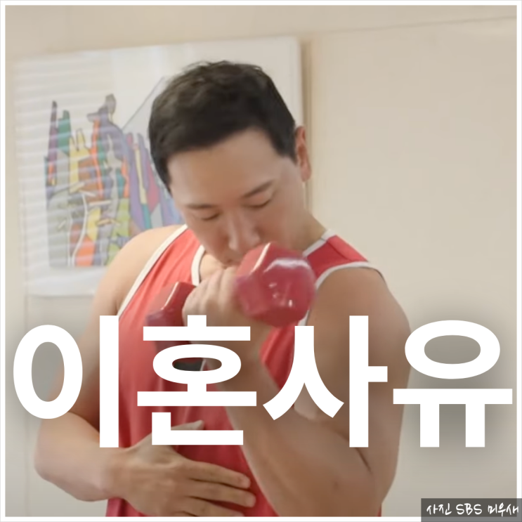 <b>라이머</b> 와이프 <b>안현모 이혼</b> 사유 프로필 인스타 돌싱남 미우새... 
