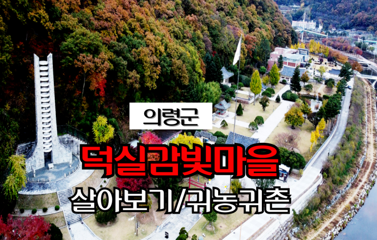  경남 의령_덕실감빛마을_살아보기_귀농귀촌