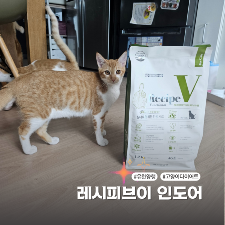  고양이사료 레시피브이 인도어 에스 실내묘를 위한 다이어트식