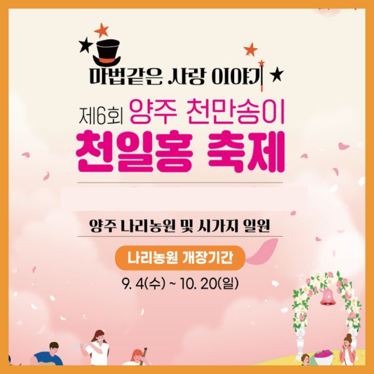  경기도 근교 양주'나리농원'의 천만송이 천일홍의 향연, 가을 나들이 어때요!