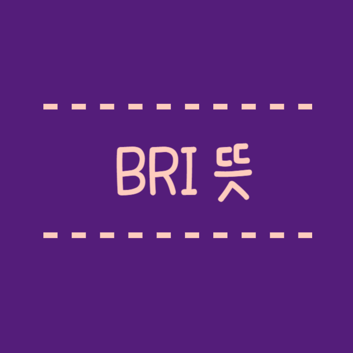  신체둥글기지수 BRI 뜻 계산법 무료 BRI 계산기