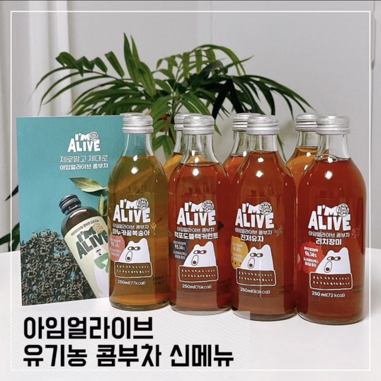  아임얼라이브 유기농 콤부차 신메뉴 후기