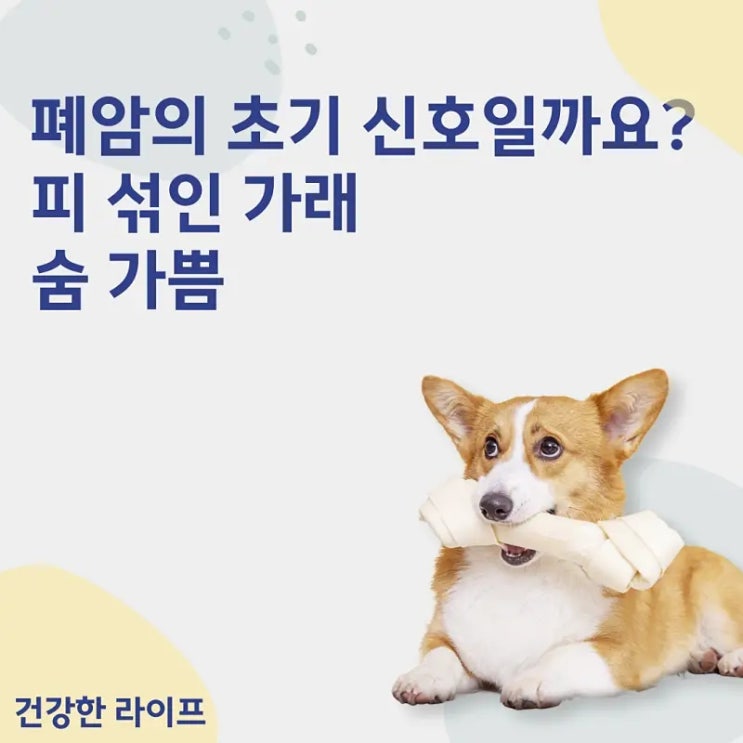  폐암의 초기 신호일까요? 피 섞인 가래, 숨 가쁨