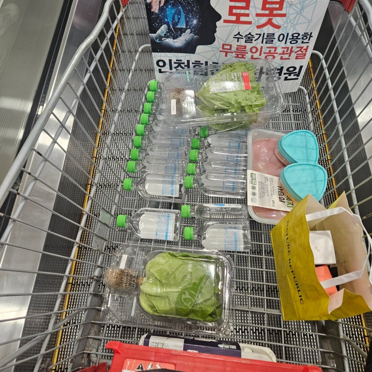  캄보디아 프놈펜 남편출장준비