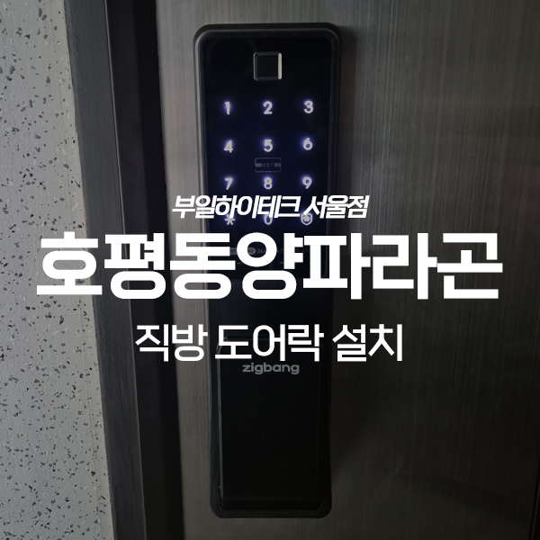  남양주 호평동 동양파라곤아파트 직방 도어락 교체 설치