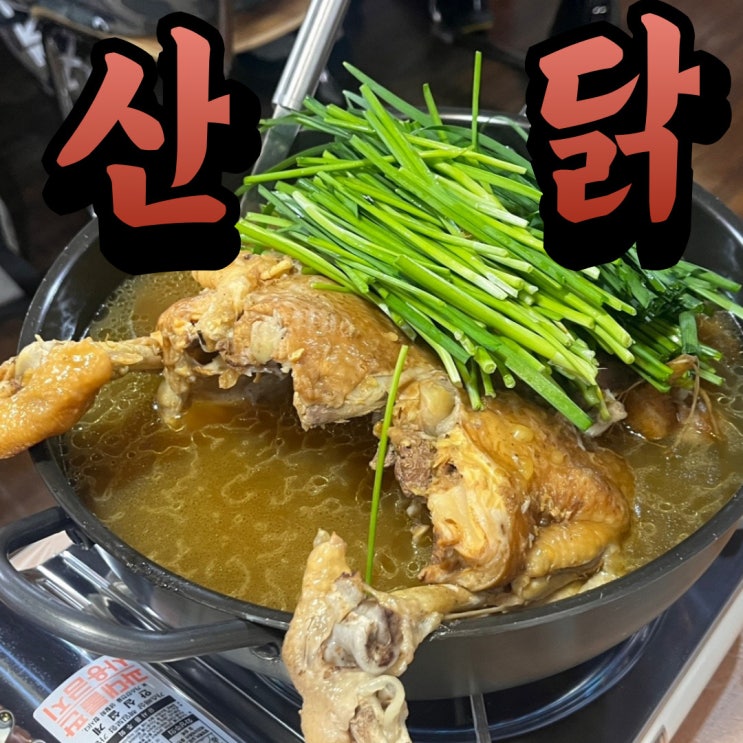  대전 장대동 맛집 온양닭도리탕 닭백숙 후기 (육계, 토종닭, 산닭 차이)