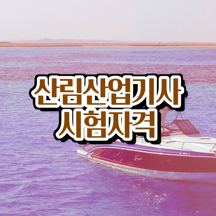  산림산업기사 자격증 산림산업기사 응시조건 독학으로 단기간에 성공한 팁