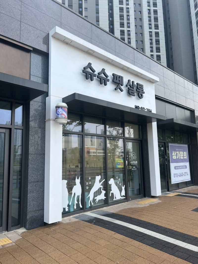 슈슈펫살롱