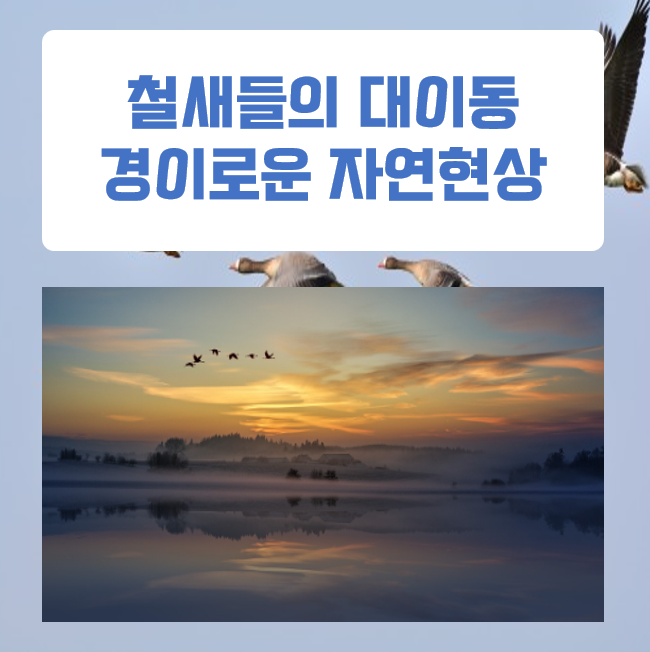  철새들은 어떻게 수천 킬로미터를 이동하면서 길을 잃지 않을까?