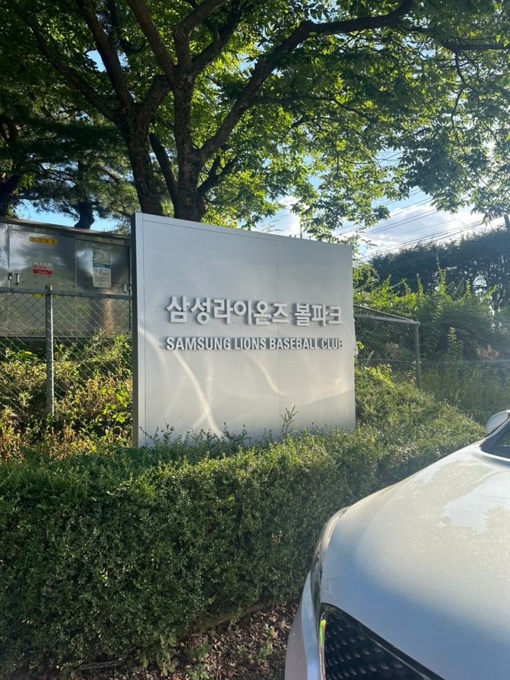 10월 4일 <b>삼성</b>라이온즈 vs KT위즈 2군 경기 <b>퓨처스</b>리그... 