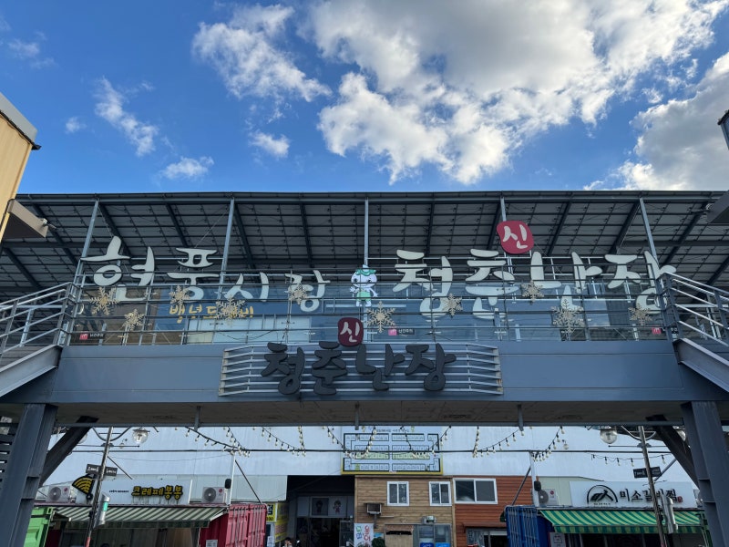 [대구/경북] 현풍 장날 백년도깨비시장 (5일장)