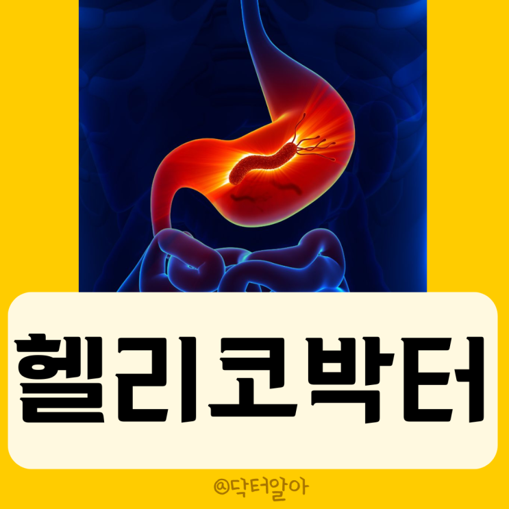  헬리코박터 파일로리(Helicobacter pylori) 정의, 증상, 진단 및 치료