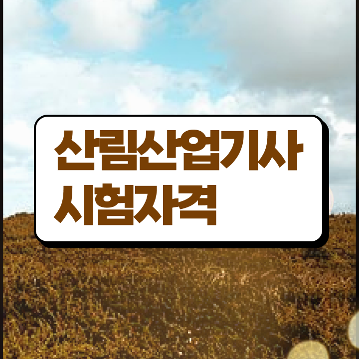  산림산업기사 전공 산림산업기사 자격요건 온라인 과정으로 빠르게 완료한 후기