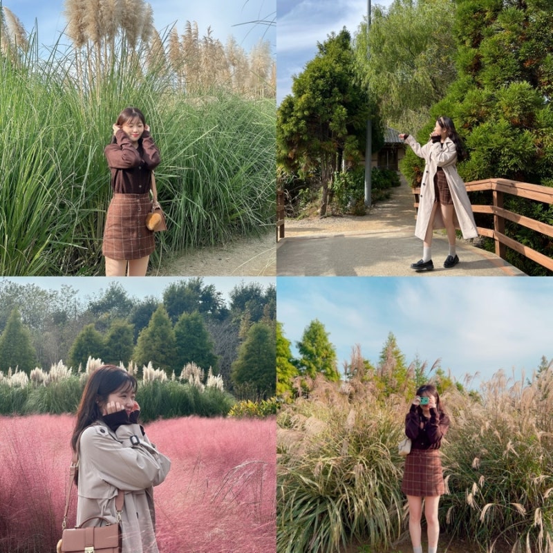 10월 가볼만한곳ㅣ태안 청산수목원 팜파스, 핑크뮬리, 갈대억새 포토존 및 입장료 주말 방문 ....
