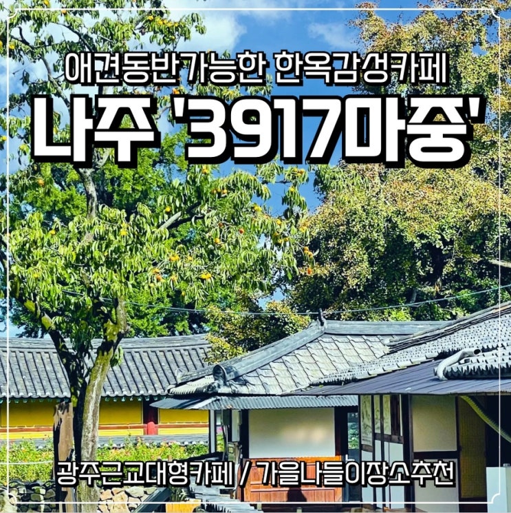  [광주 근교 카페]나주 3917마중: 애견동반가능한 한옥감성카페 | 가을나들이 추천장소
