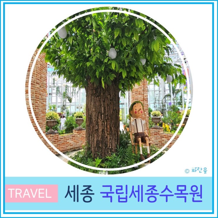  국립 세종수목원 입장료 주차 충남 대전 근교 실내 가볼만한 곳 피노키오 온실