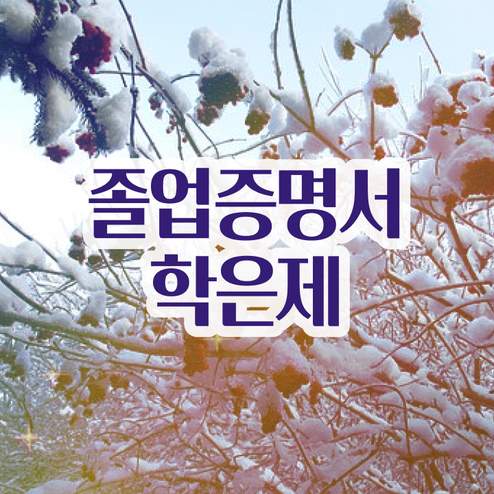  학점은행제 플래너 사기 , 고졸자를 위해 목표를 확실하게 이끌어주는 학점은행제 플래너 활용해보세요