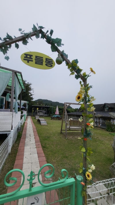 사진 14