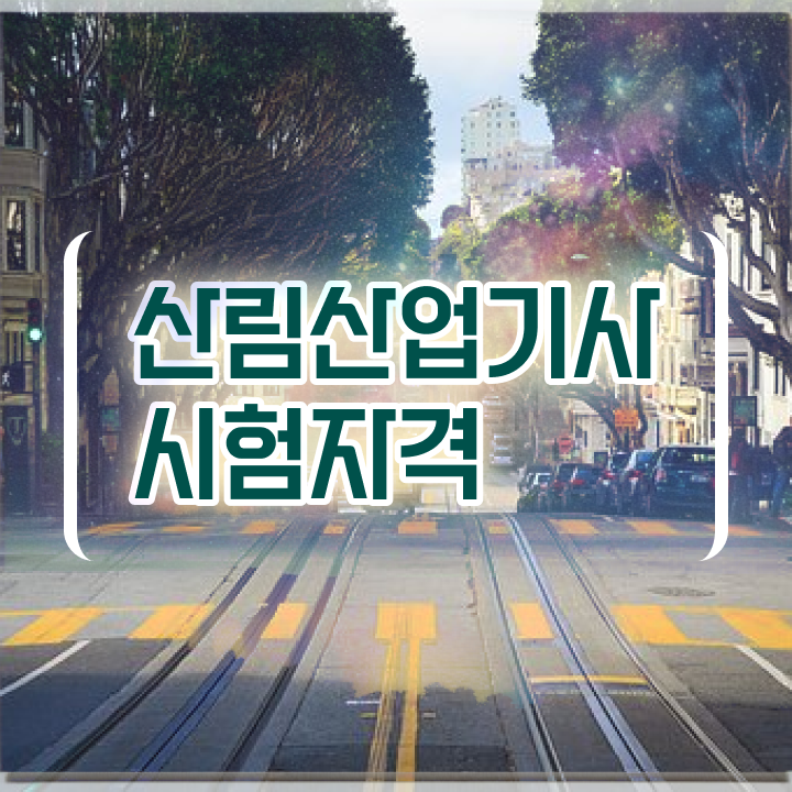  산림산업기사 작업형 산림산업기사 응시조건 독학으로 간편하게 준비한 전략