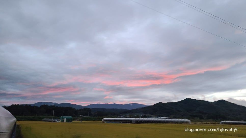 진미순대 사진 1