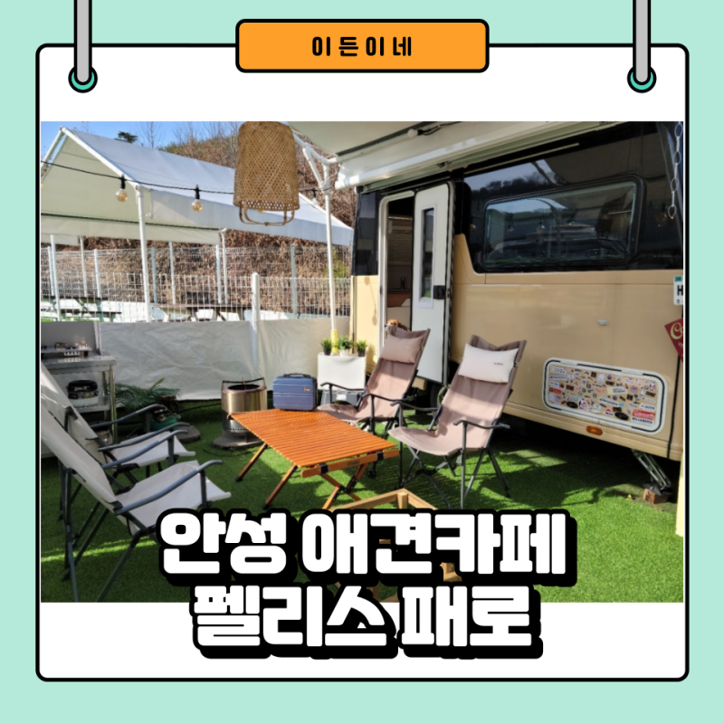 사진 5