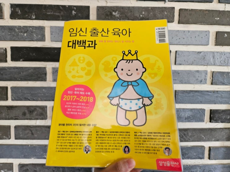  [육아공부/책리뷰] 임신 출산 육아 대백과