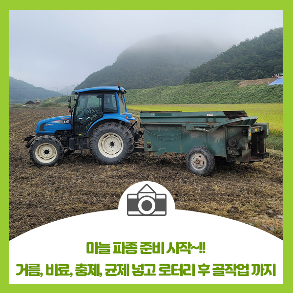  2024년 마늘 파종 준비 시작, 거름, 비료, 충제, 균제 넣고 로터리 후 골잡업 까지