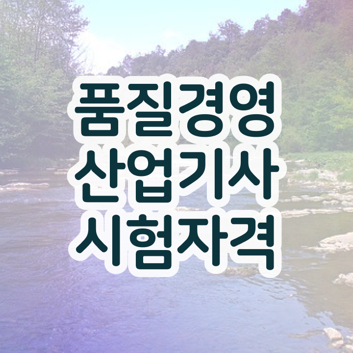  품질경영산업기사 전망 품질경영산업기사 자격요건 집에서 온라인으로 간단하게 성공한 후기