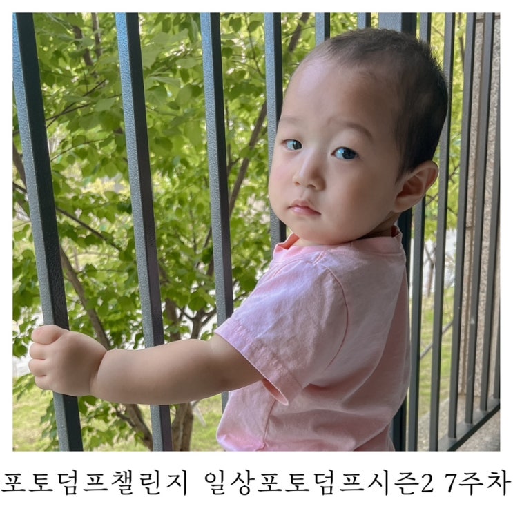  [블챌]포토덤프챌린지 일상포토덤프 시즌2 7주차