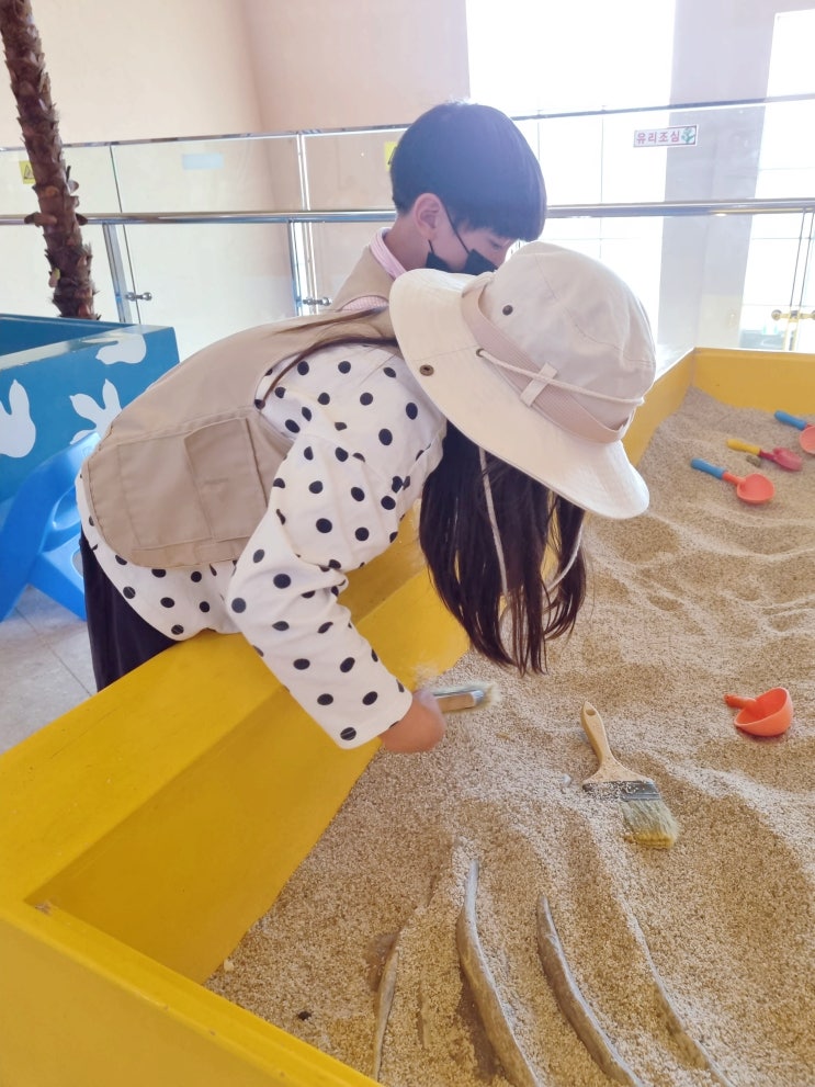 가을 해남 가볼만한곳 해남 공룡박물관 입장료 공룡테마파크