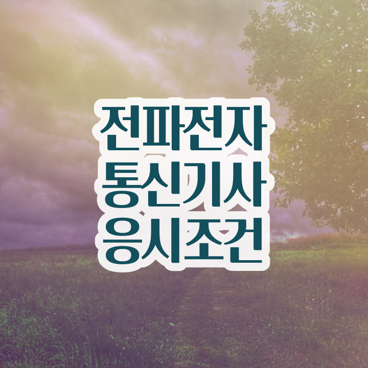  전파전자통신기사 2024 전파전자통신기사 시험응시자격 온라인으로 간편하게 끝낸 전략