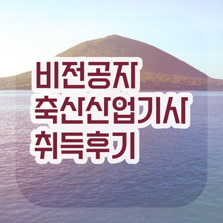  축산산업기사 준비물 축산산업기사 취득자격 학점은행제로 간단하게 끝낸 노하우
