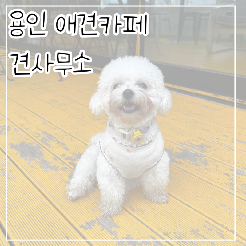 사진 3