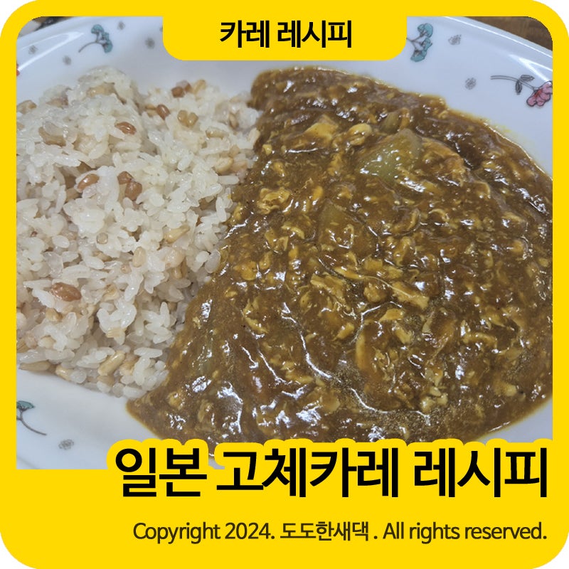 일본 고체카레 레시피 일본 골든커리 물양 초간단 레시피