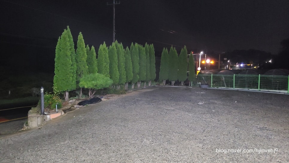 진미순대 사진 4
