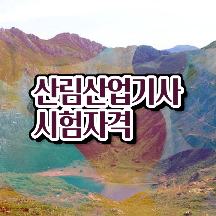  산림산업기사 학은제 산림산업기사 시험응시조건 독학으로 단기간에 완료한 노하우