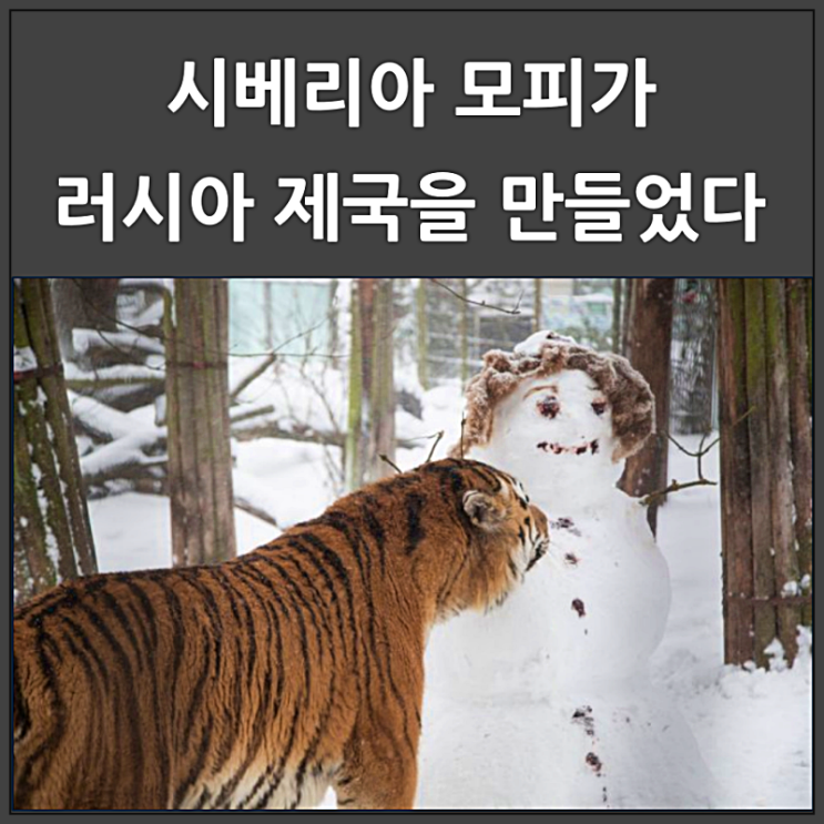  시베리아 모피가 러시아 제국을 만들었다