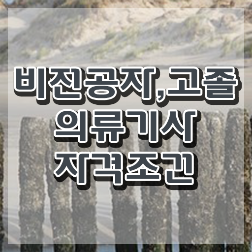  의류기사 응시자격 의류기사 취득자격 독학으로 쉽고 빠르게 끝낸 비법