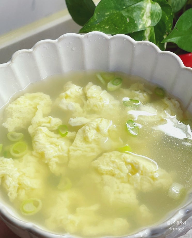  계란국 끓이기 대파계란국 만들기 레시피 초간단 아침국 끓이는법