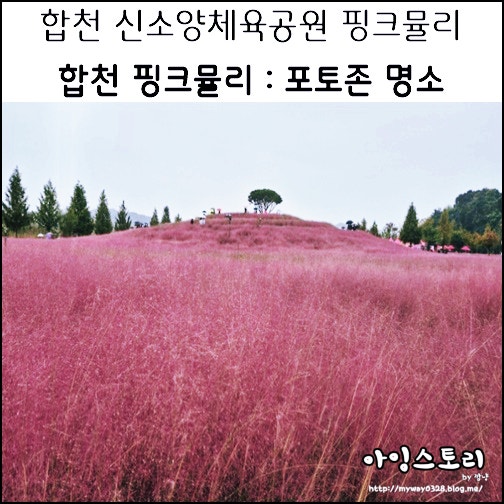 경남 합천 여행 합천 신소양체육공원 핑크뮬리 명소 비오는날 가을 가볼만한 곳