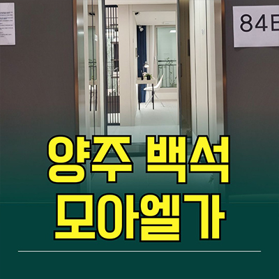  양주 백석 모아엘가 그랑데 신축아파트 복지지구 복지리 미분양 잔여세대 분양가 모델하우스