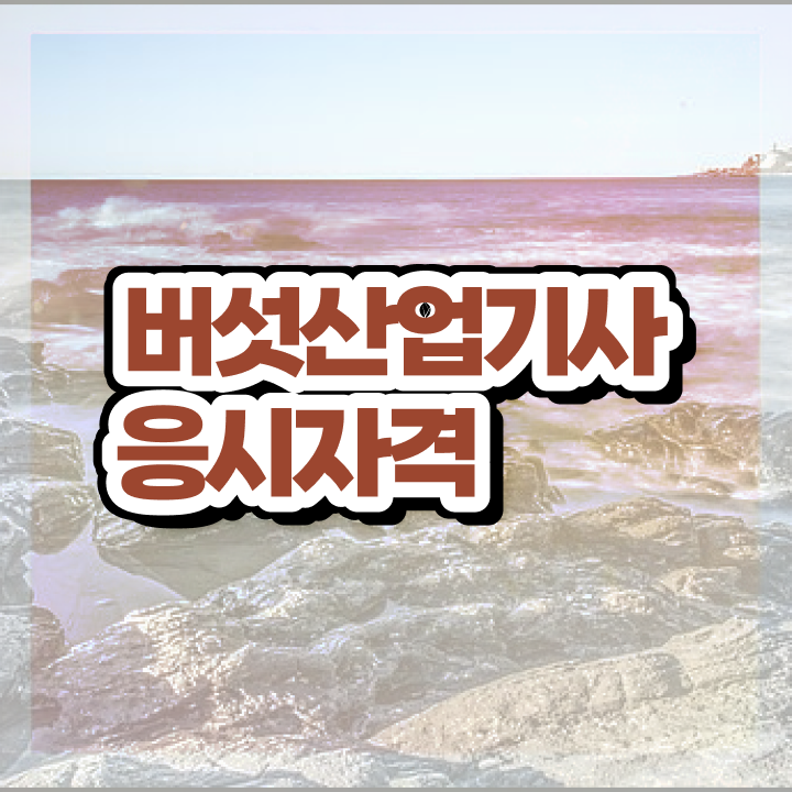  버섯산업기사 취득자격 온라인으로 단기간에 완료한 전략