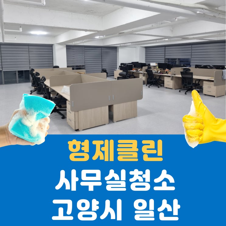 일산 사무실 청소 - 장항동 사무실 청소 비용과 정기 관리 청소 과정