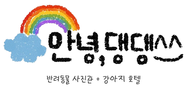 사진 4