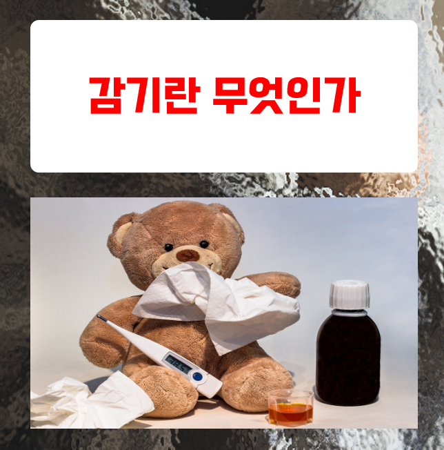  감기에 걸리면 왜 열이 날까? 그 과학적 이유